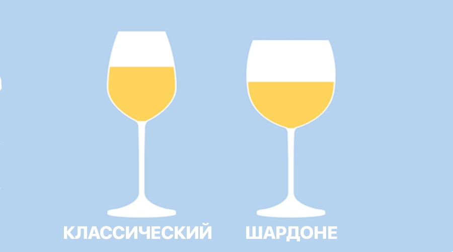 Сравнение классического бокала для белого вина и шардоне