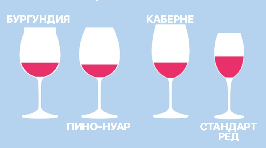 Разница между бокалами для красного вина